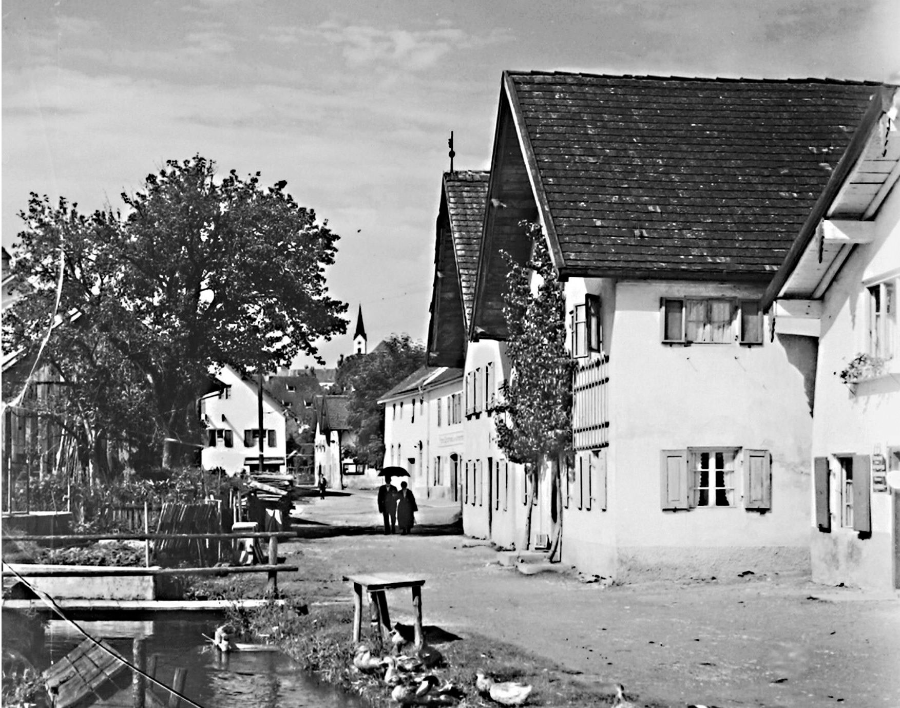 Mühlstraße mit Kastanienbäumen um 1930