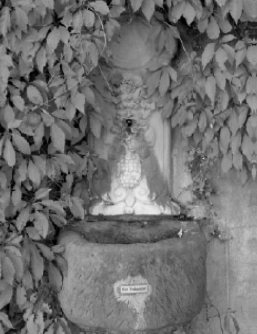 Das Brünnderl in der Blatterngasse