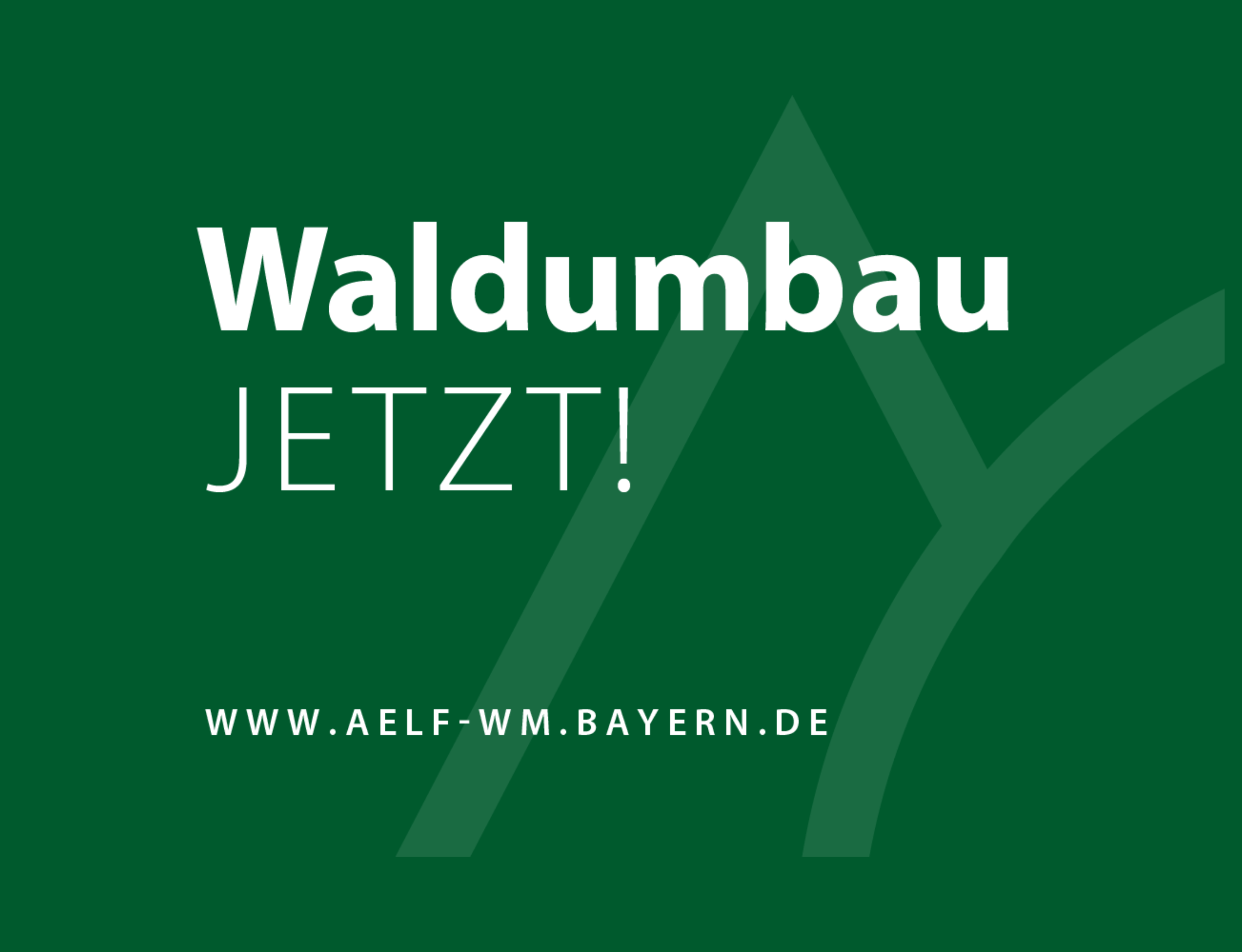 2 | das Projekt