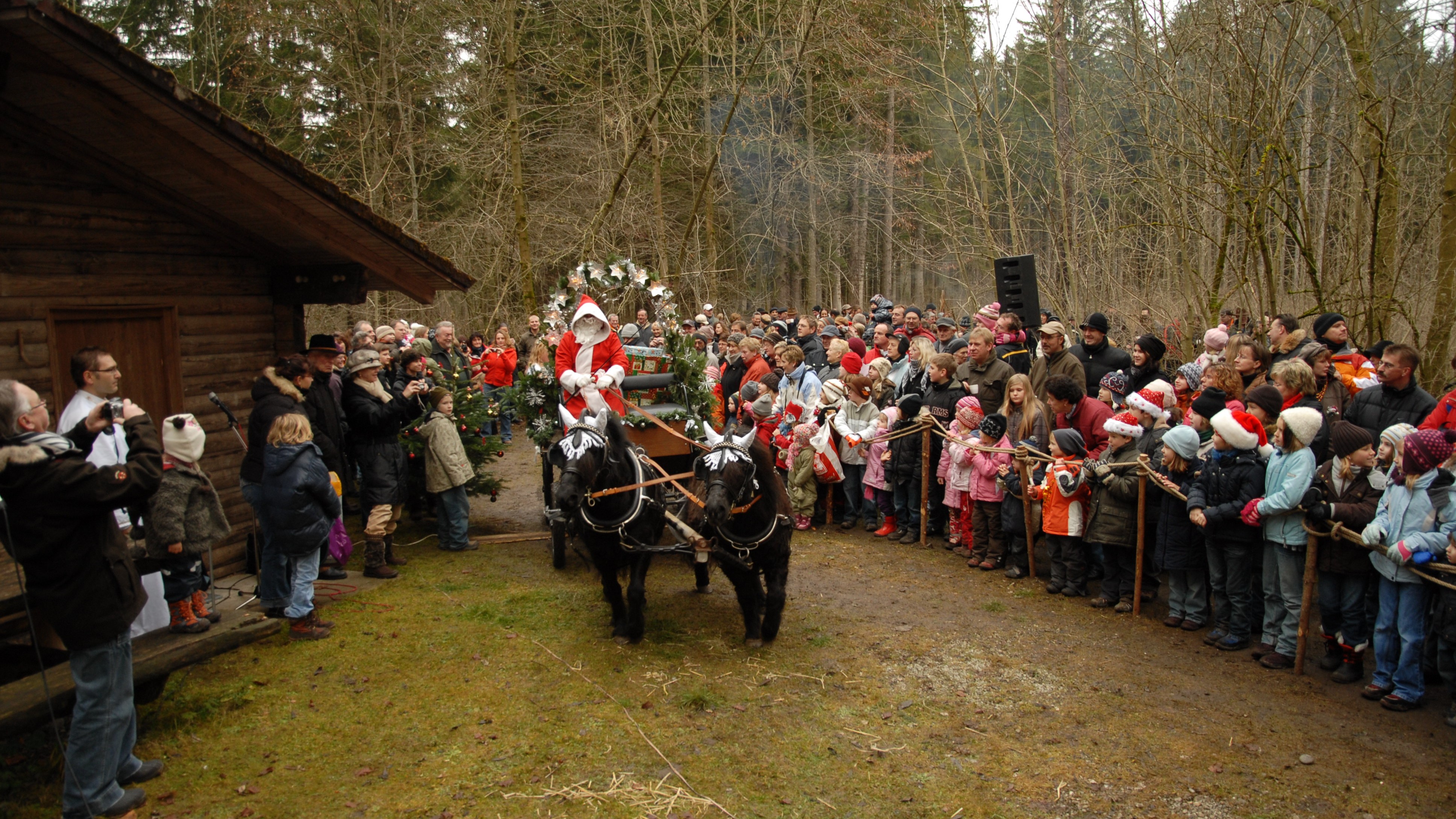 Waldweihnacht in Scheuring