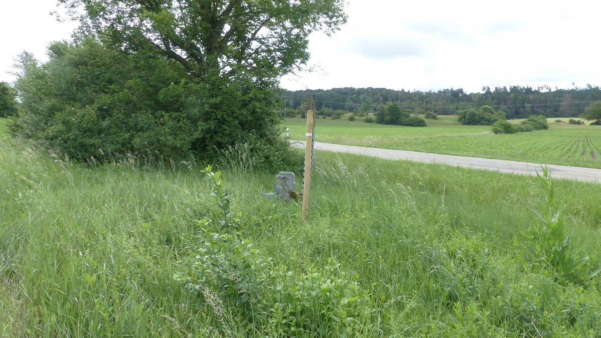 Leerstand und Todesfälle in Geslau um 1636 als Beispiel für die Folgen des 30-jährigen Krieges und der Pest, Foto: Bernhard Heim