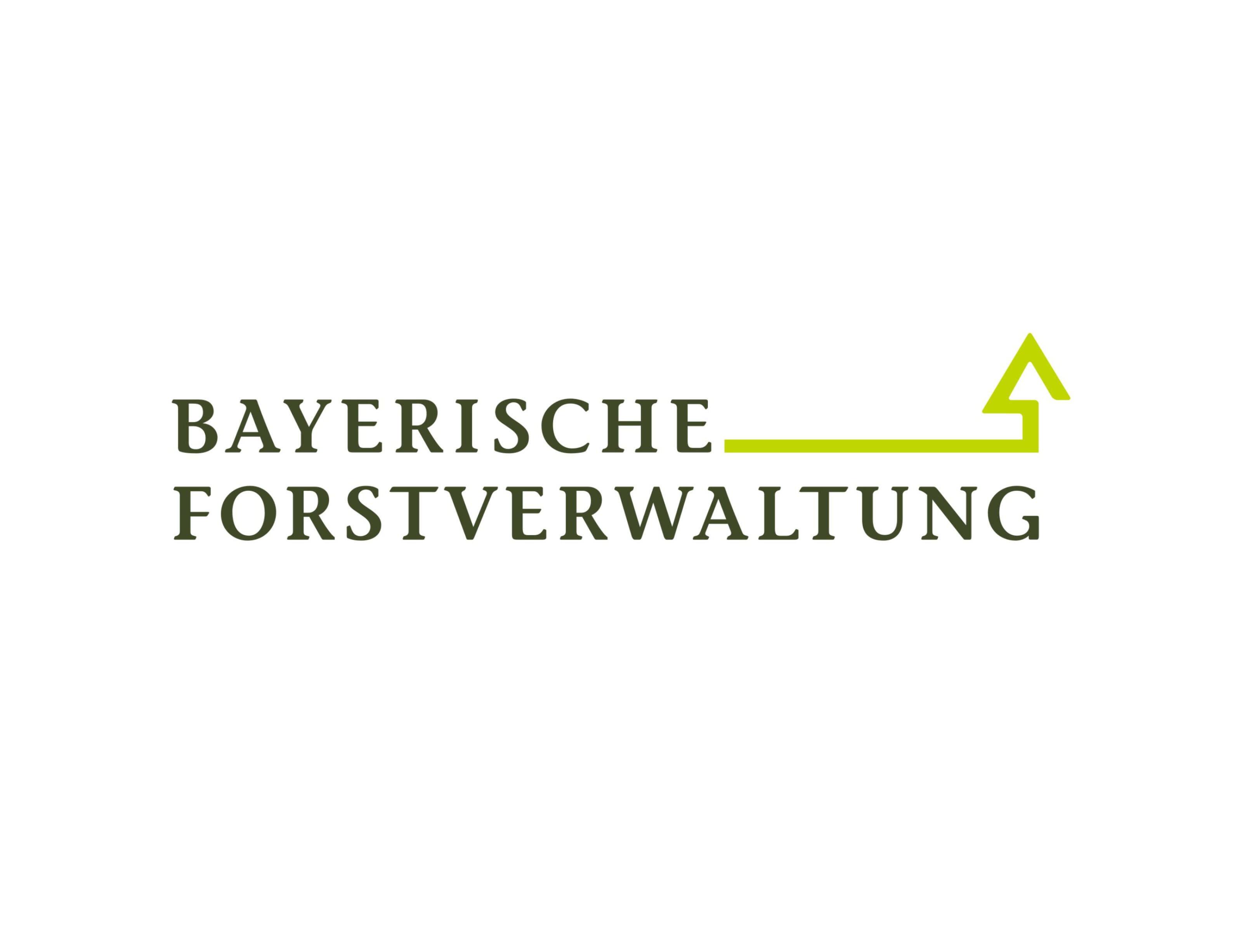 4 | Hilfe Beim Waldumbau