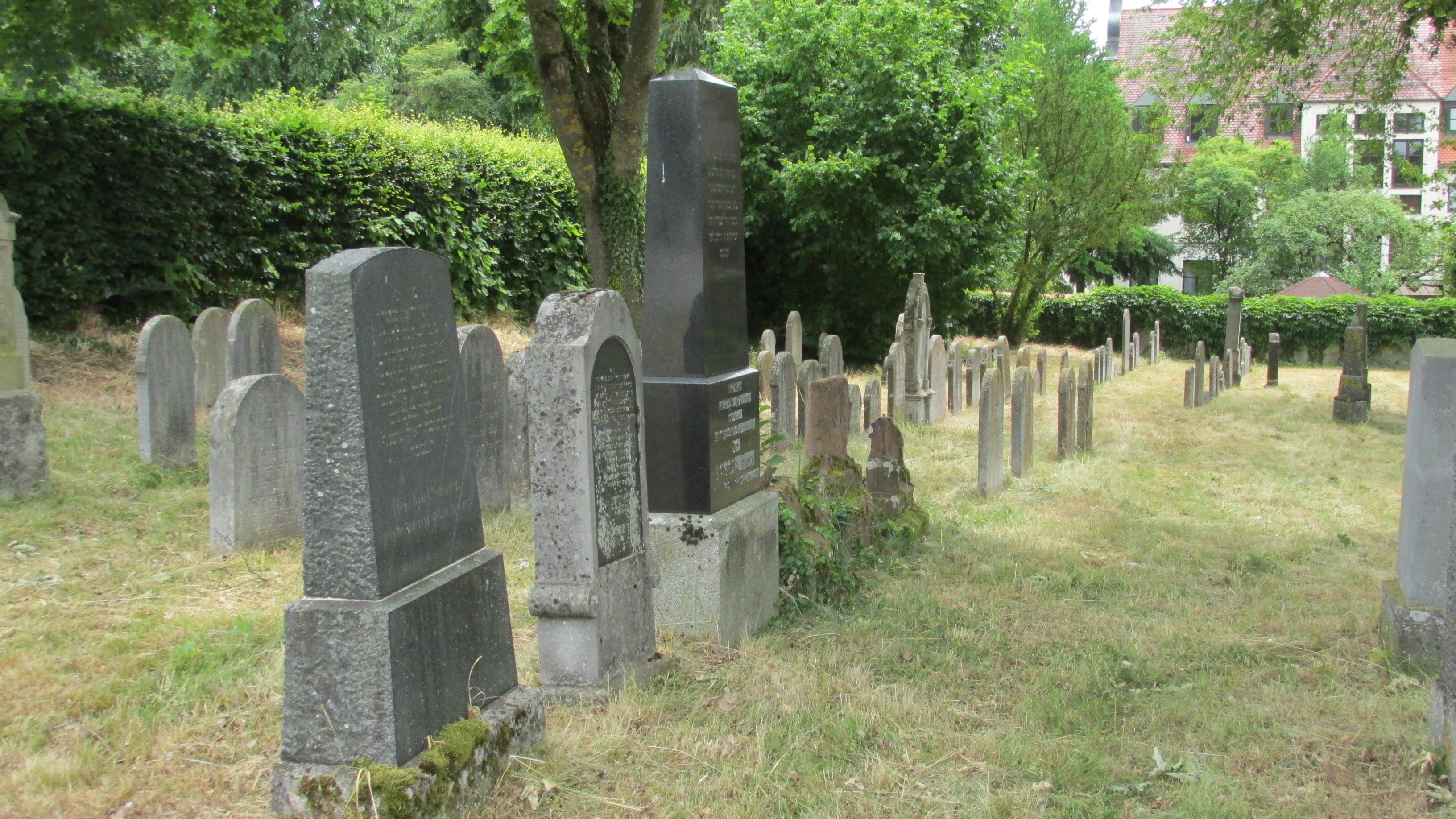 Jüdischer Friedhof Buttenwiesen – Gräberfeld nahe dem ehemaligen Eingangstor und Taharahaus. Die gleichgestalteten Mazzewot (Grabsteine) im Hintergrund zählen zu den ältesten auf dem Friedhof und datieren ab 1800. Aufnahme: 29.6.2023 Fotoarchiv: G. Knöpfle