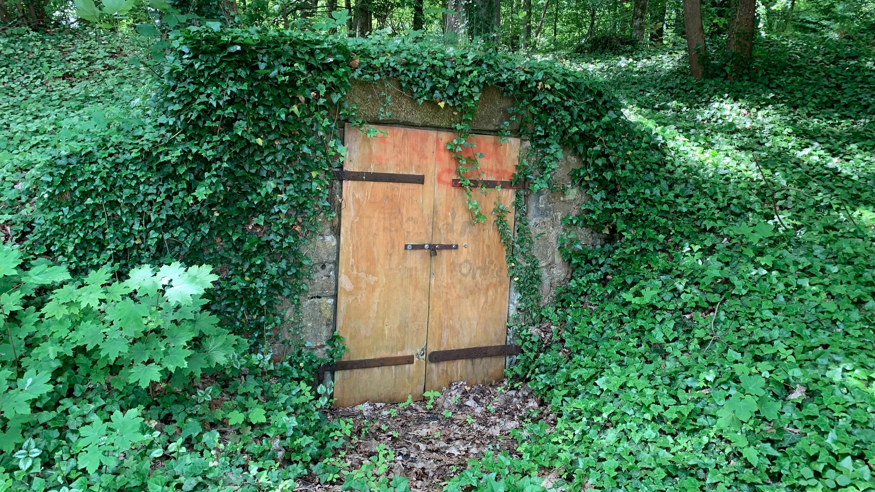 Felsenkeller (Am Sudhaus 1), Eingang von einem von vielen Felsenkellern an Grafenwöhrer Annaberg, Foto Pirmin Balk, 2023.