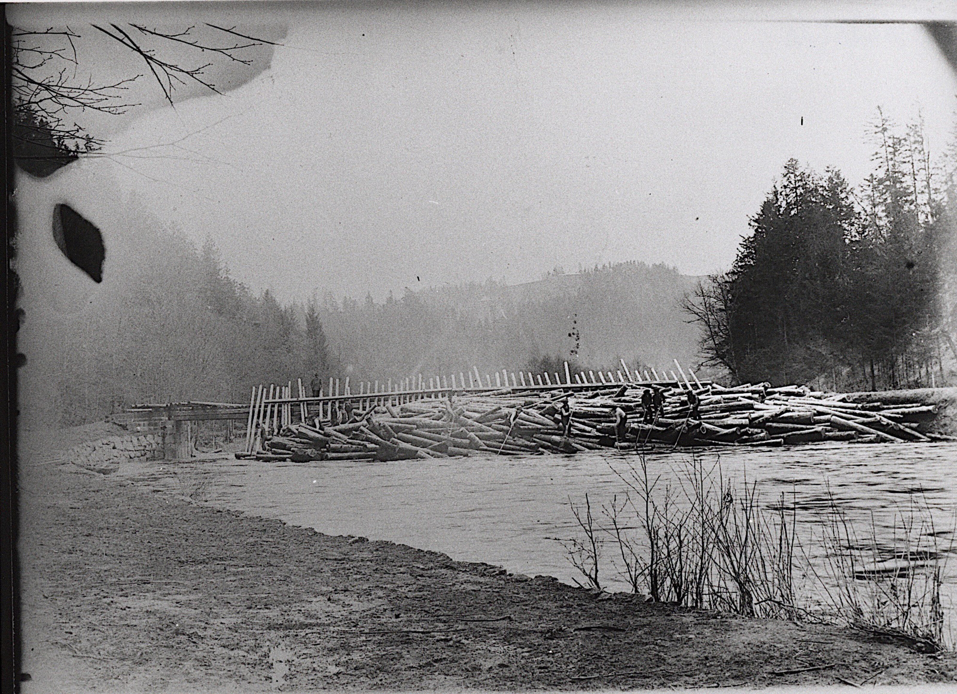 Historische Trift, Quelle: Kreisarchiv Freyung-Grafenau