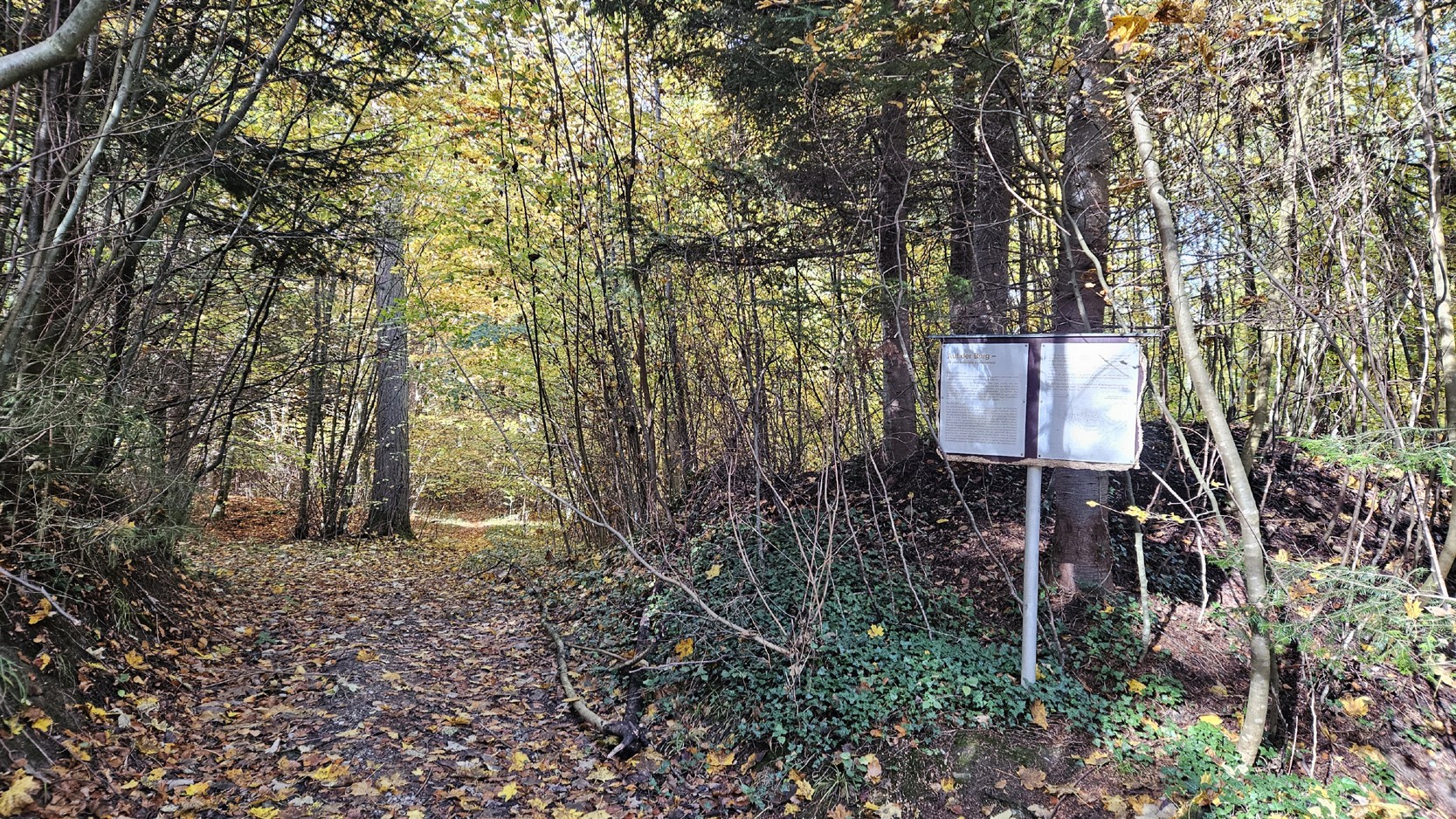 Eingang der Schanzen im Westerholz, Foto Josef Neumair, 2023