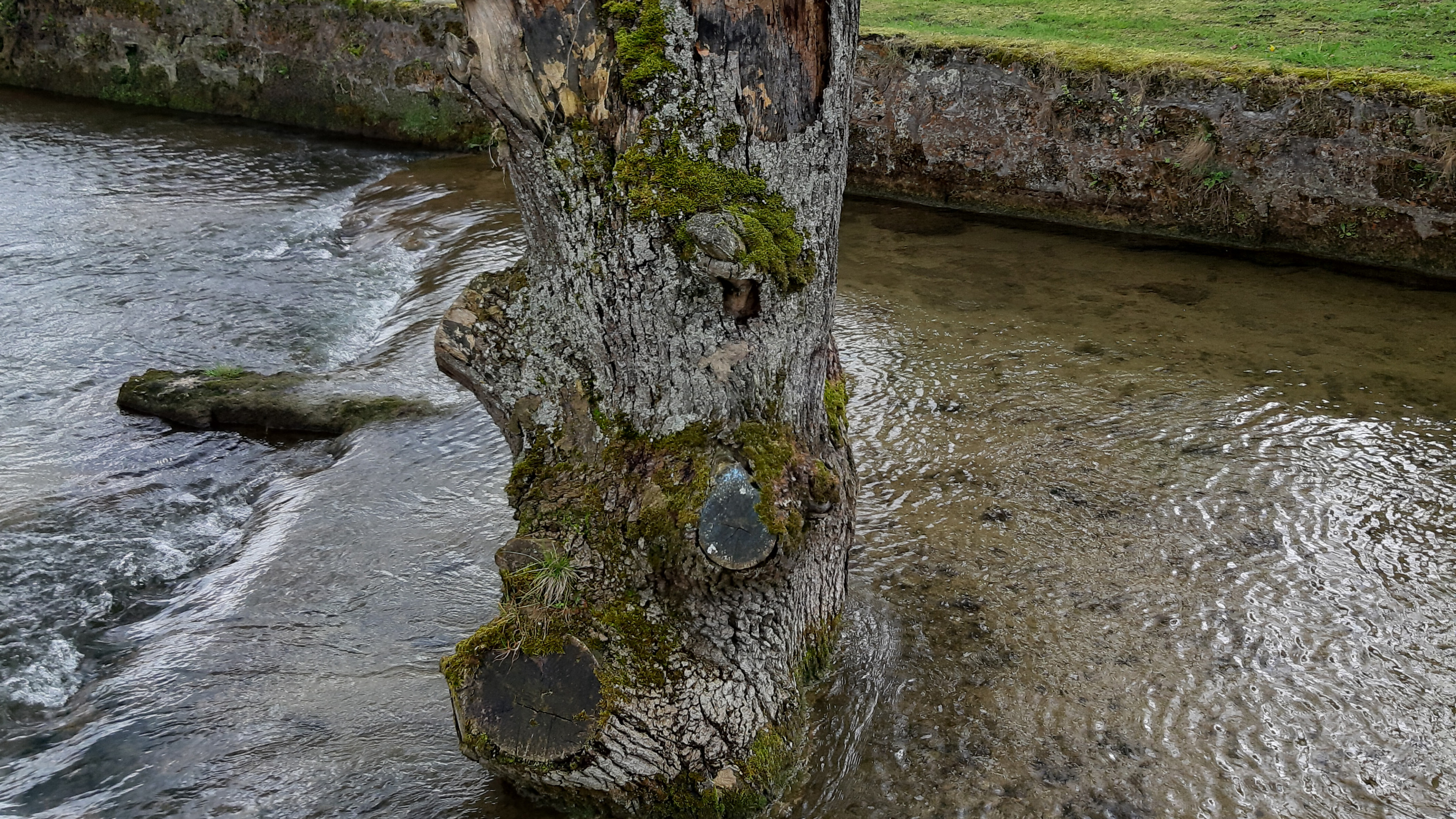 Große Kunst im Fluss der Zeit
