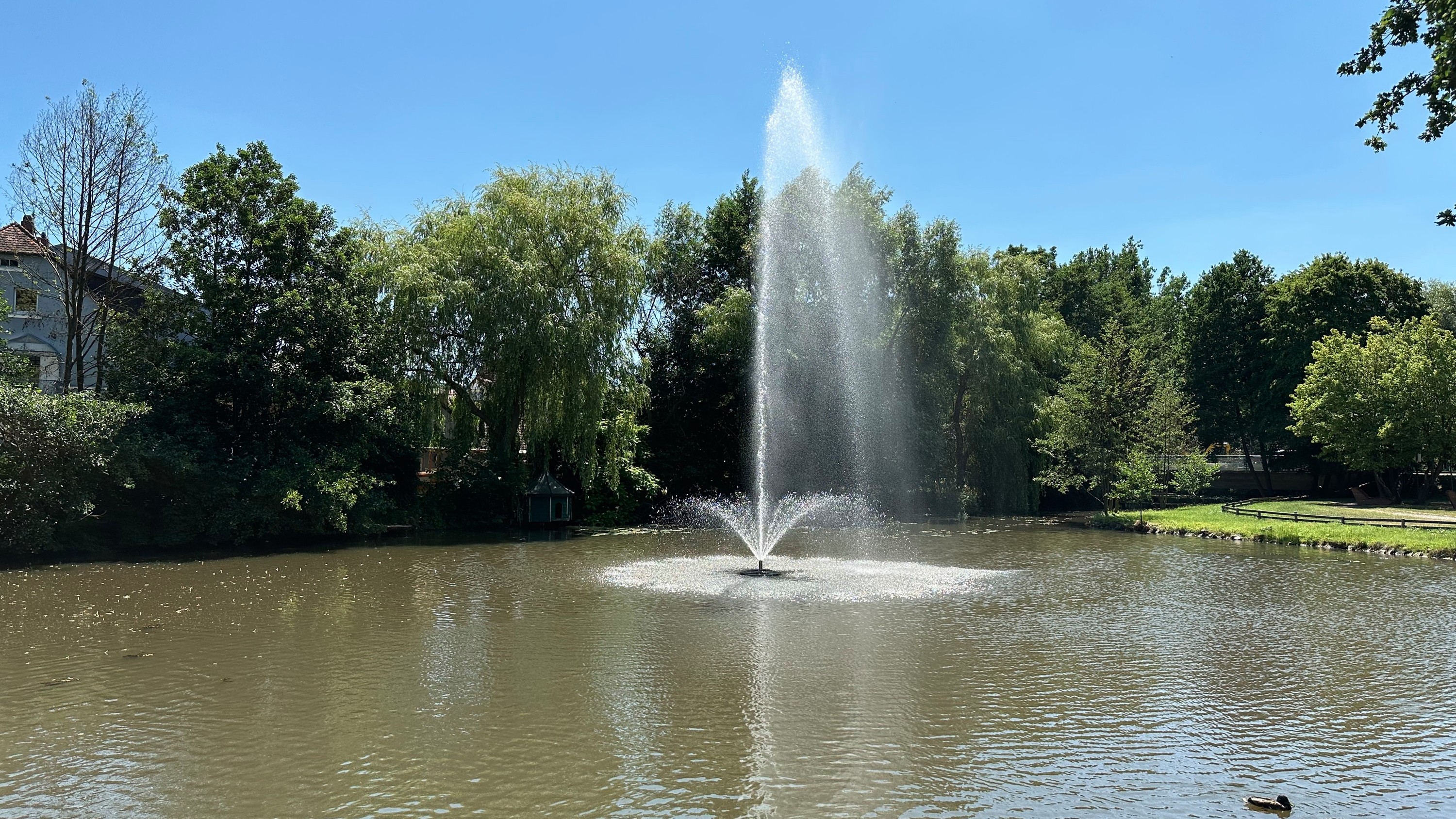 Der Stadtweiher mit Fontäne am Stadtpark in Grafenwöhr. Foto: Pirmin Balk, 2023.