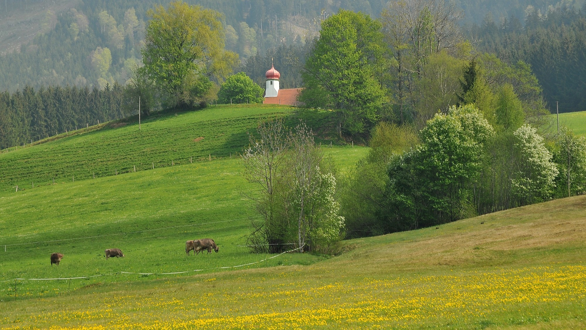 Die Katholische Kapelle St. Rochus am Hauchenberg. Aufnahme: April 2011, Fritz Stettmayer, Creative-Commons-Lizenz by-nc-nd-4.0
