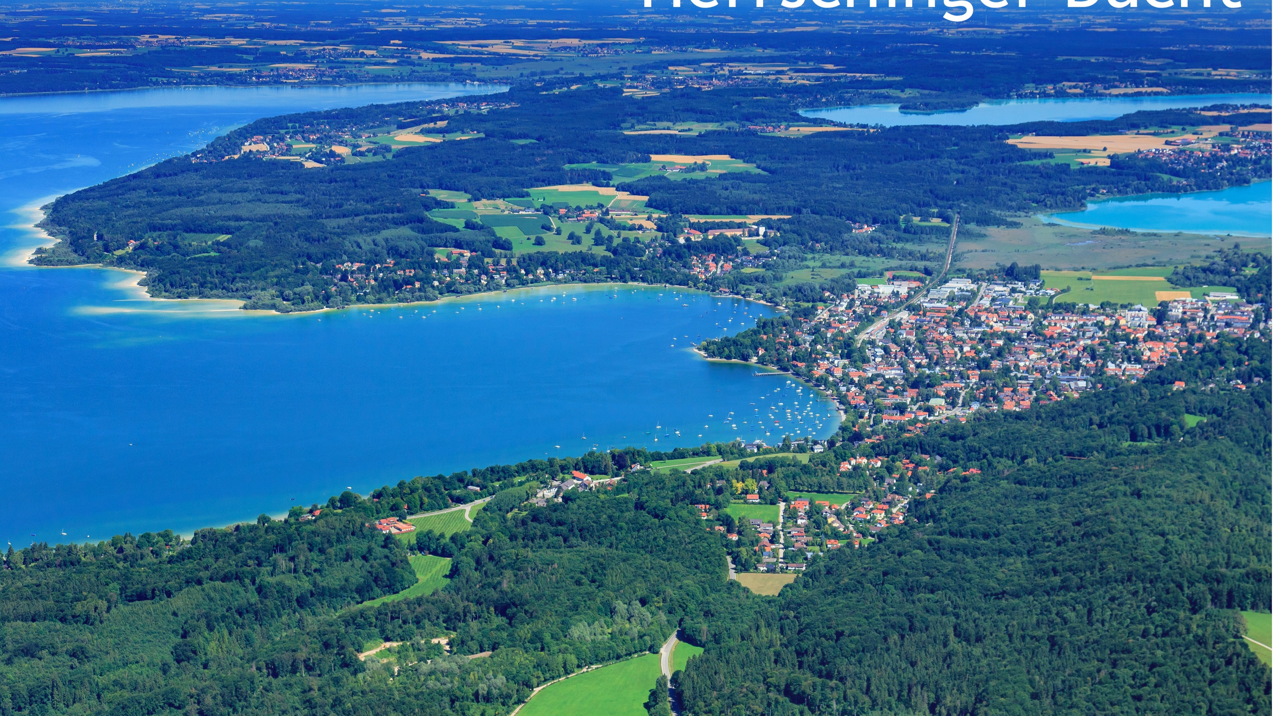Gebänderte Prachtlibelle. Bild: tbn